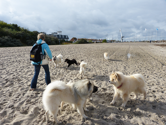0040 schoen zu sehen wie gut sich mehrere Generationen verstehen.JPG